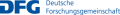 Dfg logo schriftzug blau.png